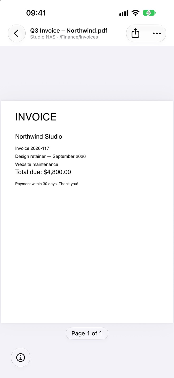 A PDF invoice opened in ShareSeek's preview